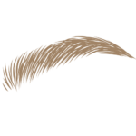 obočí
